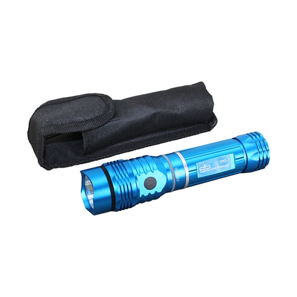 Dual Worklight